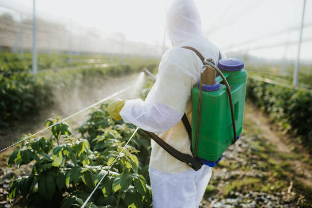 Best Exterminator Services  in Norton, VA